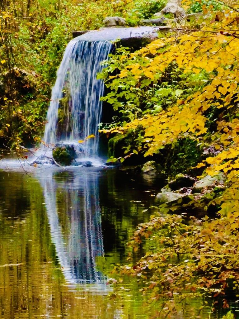 Strategies for Mitigating Heightened Credit Risk