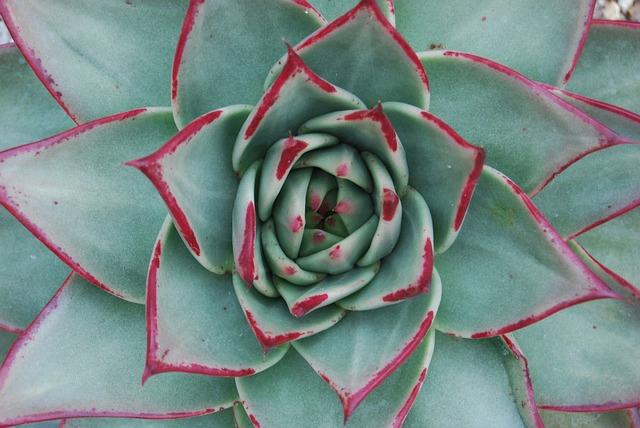 The Financial Ratios That Can Help Predict Loan Defaults