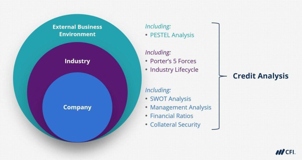 Decoding Consumer Behavior through Credit Analysis