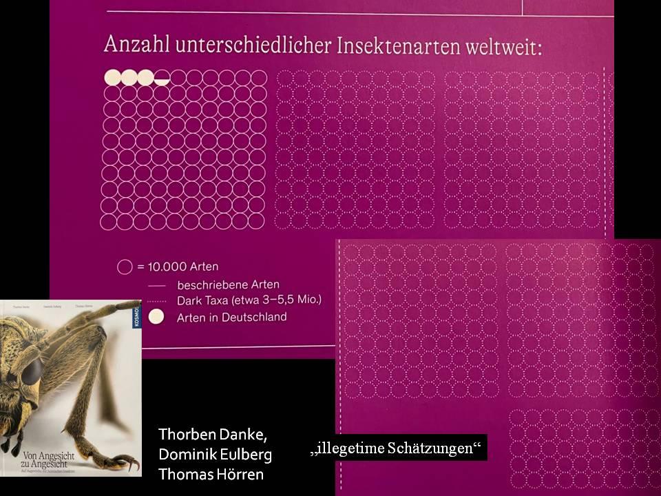 Unlocking Consumer Insights Through Credit Data