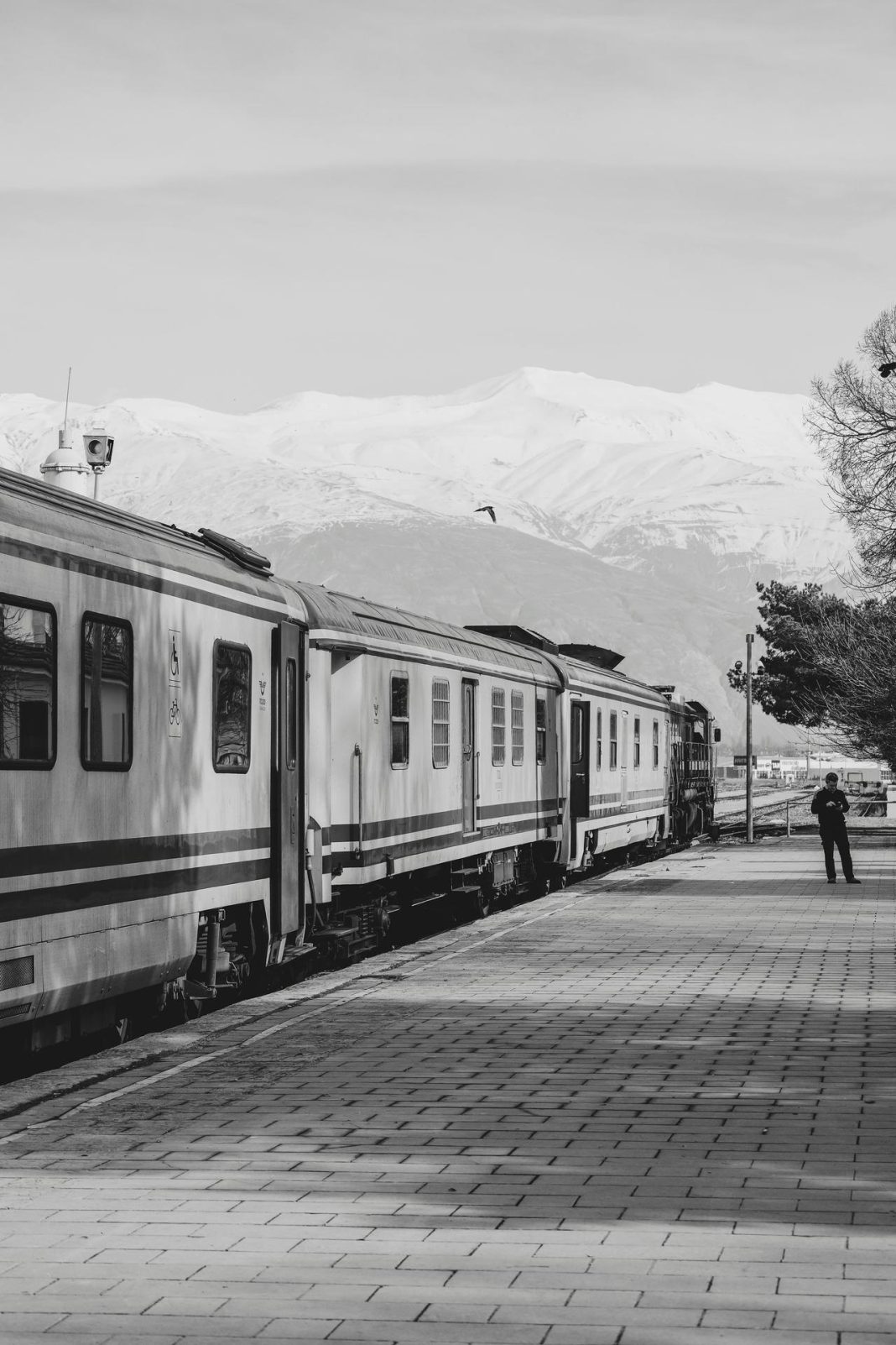 financial tools for assessing credit risk