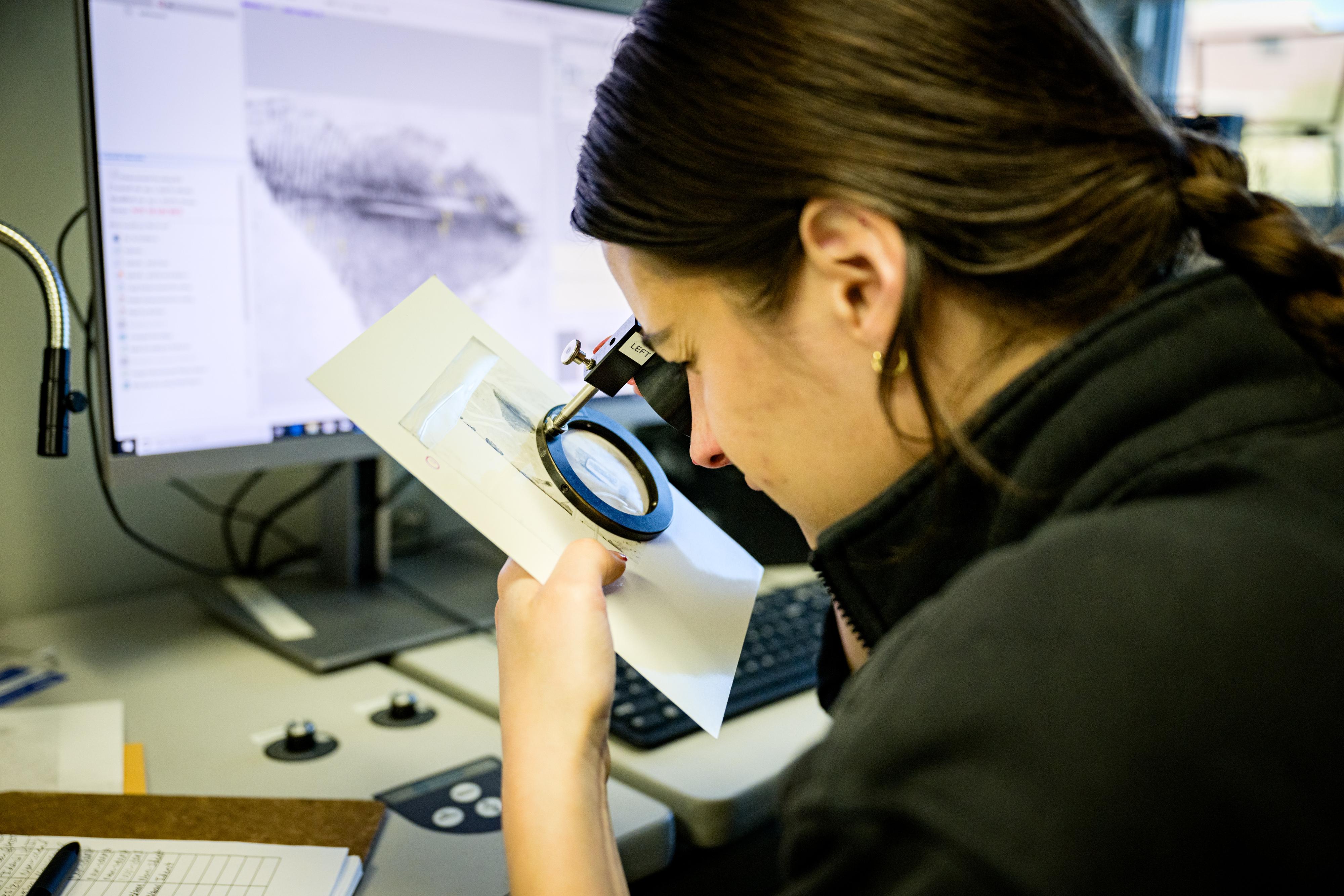 Forensic Analysis: Tracing the Fraudulent Trail with Precision