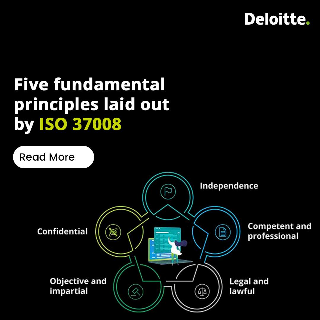 Strategic Insights: Lessons Learned from Financial Fraud Investigations