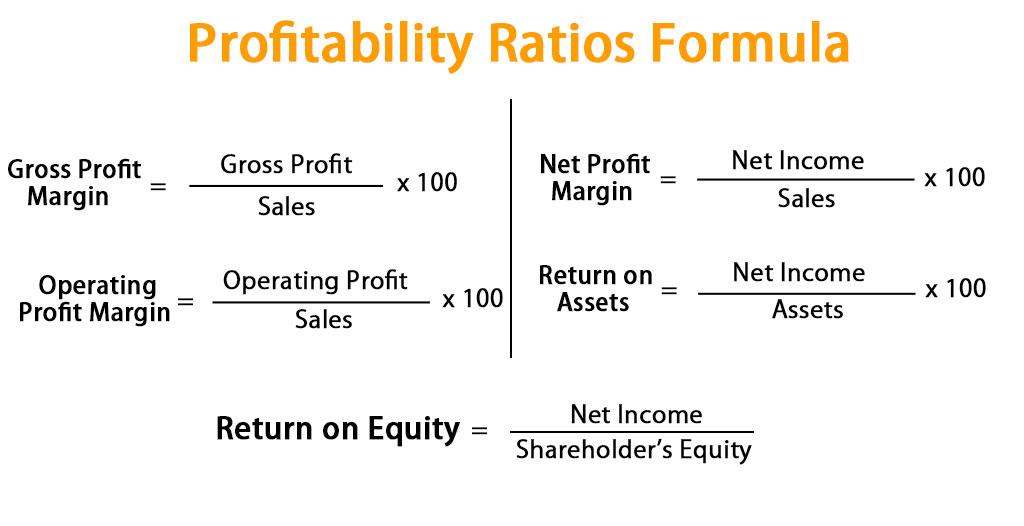 Harnessing Profitability Ratios to ‍Gauge Borrower ‌Stability