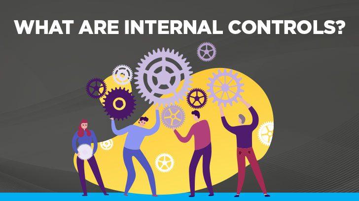 Implementing Robust Internal Controls and Audits